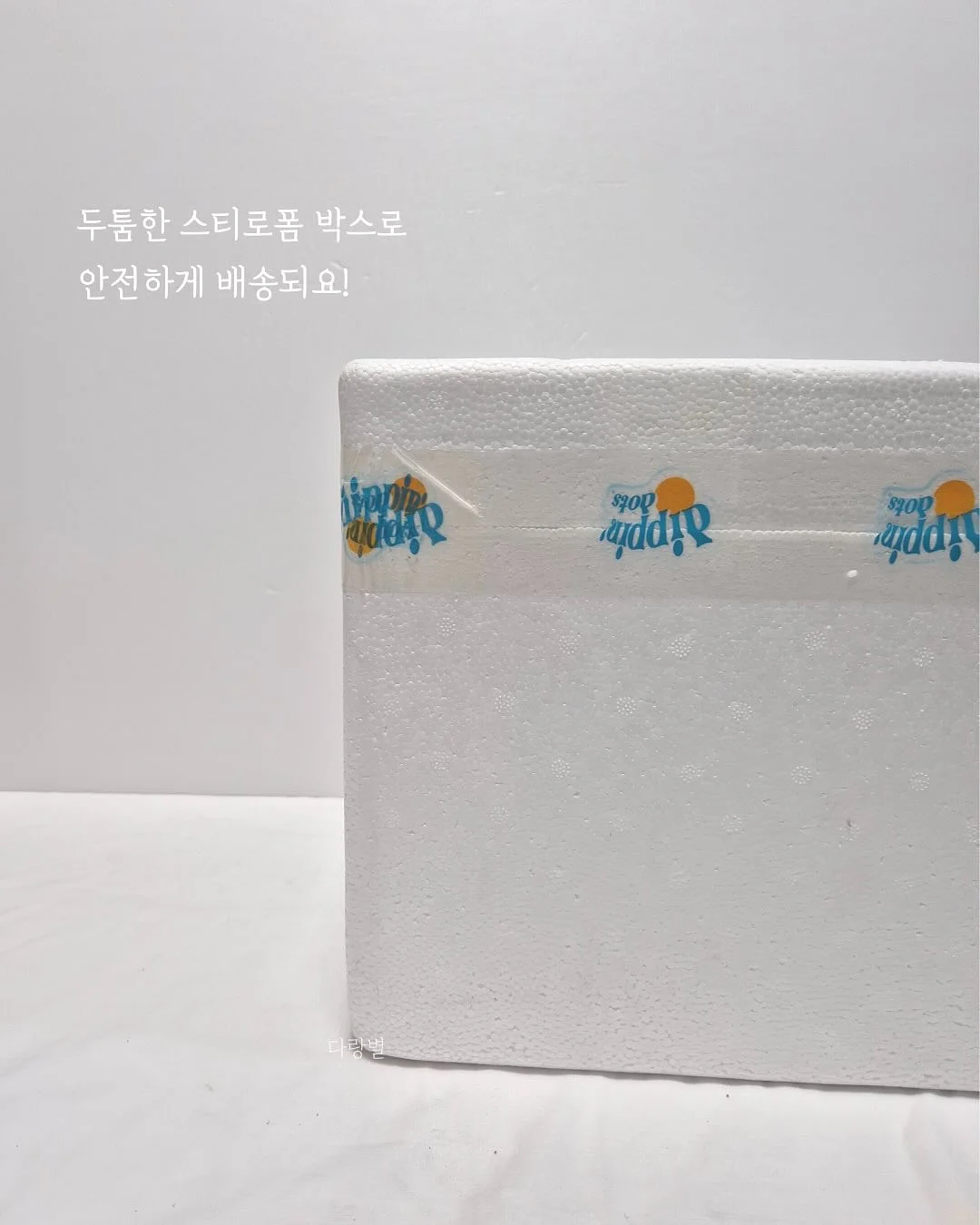 무릎 건강 제품 16