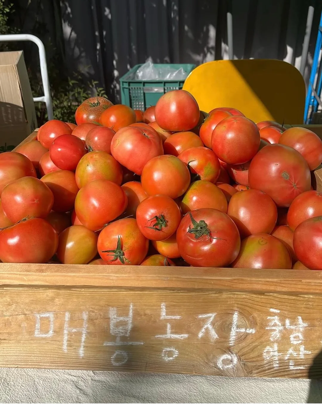 닭가슴살 정보 5