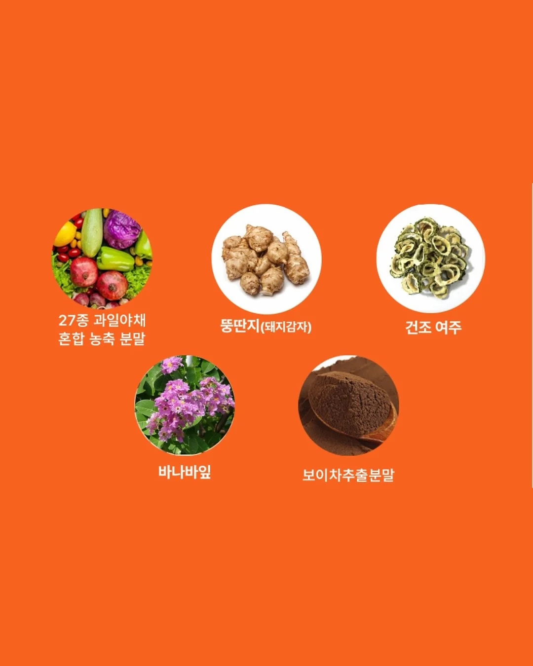 한입쿠키 12