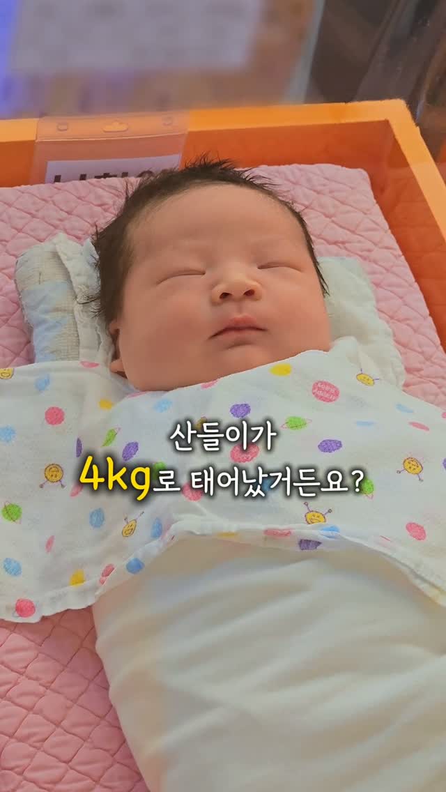 핑크퐁 아기상어 젤리
