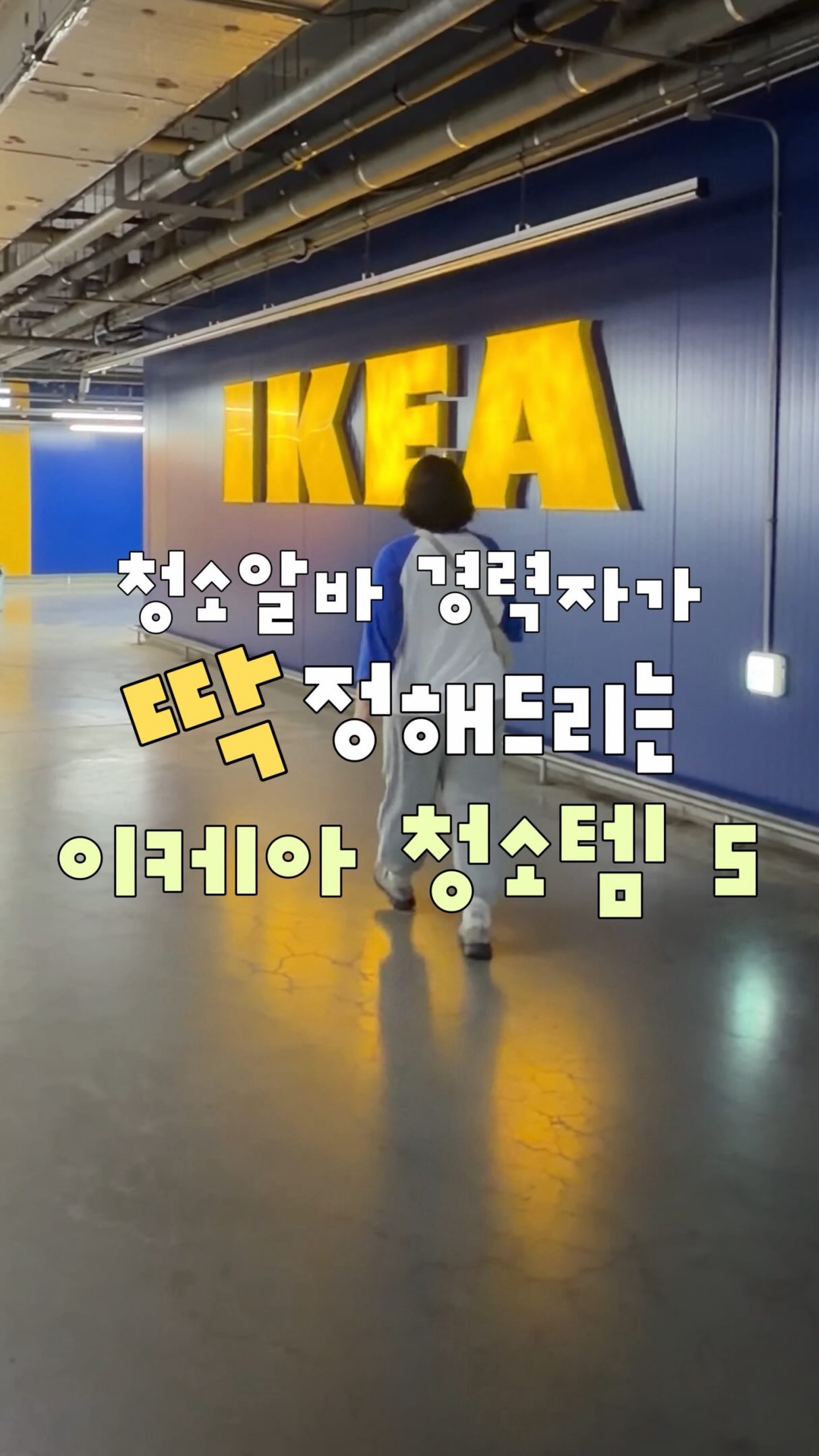 레지나 로열젤리