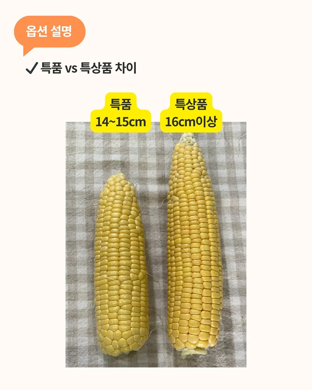 마인드랩 6월(그리고 7월 초) 강의 2