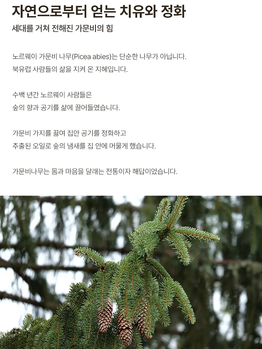 빨간떡오뎅 세트 11