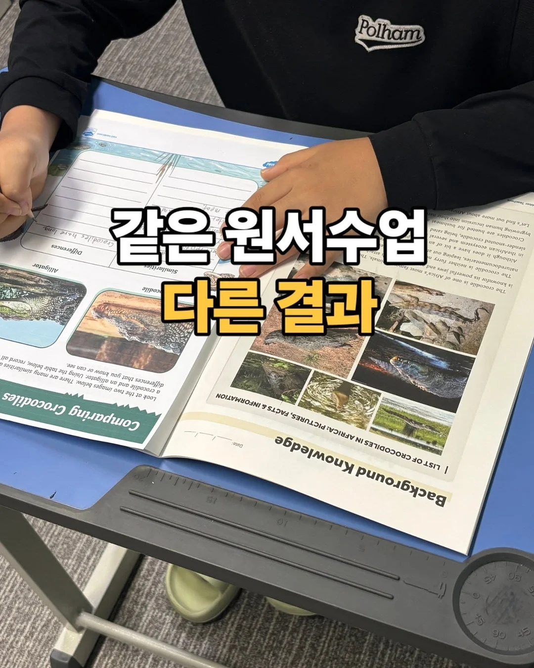 VT 시카 바이탈 에센스 더블기획팩 2