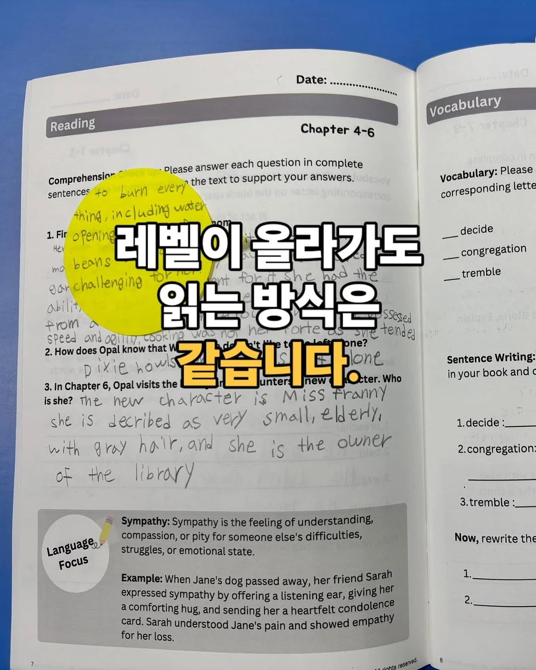 VT 시카 바이탈 에센스 더블기획팩 10