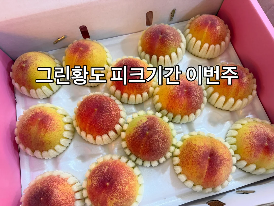 산리오 선풍기 썬캡