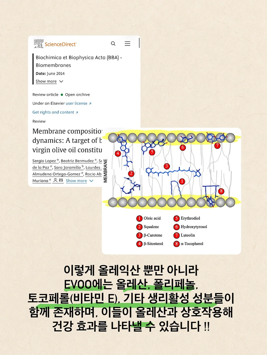 메종키츠네 니트 10