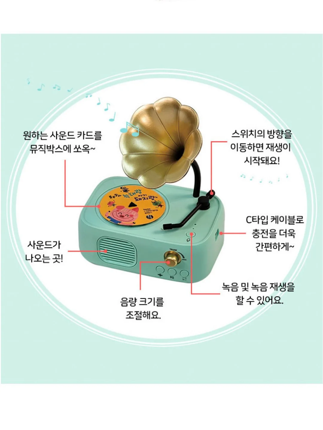 빼빼주스 12