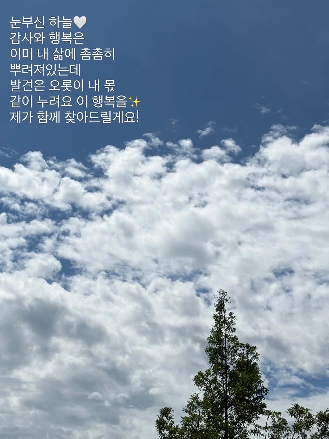 급속해동기 12