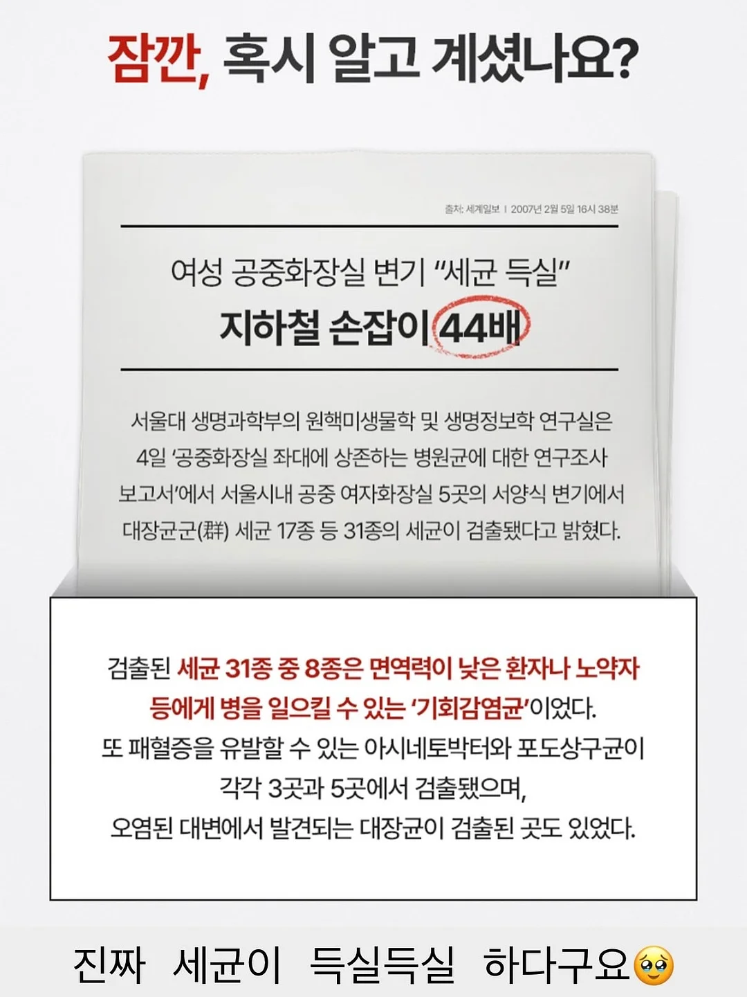 반사젤 7