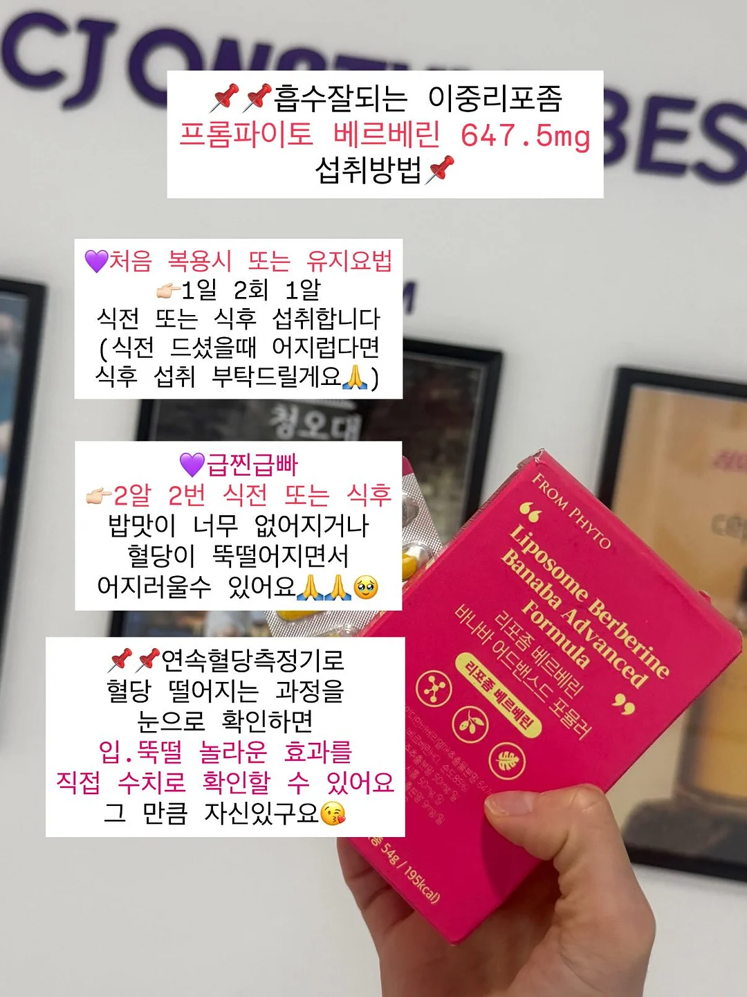 정희우 작가 키치한 작품 5