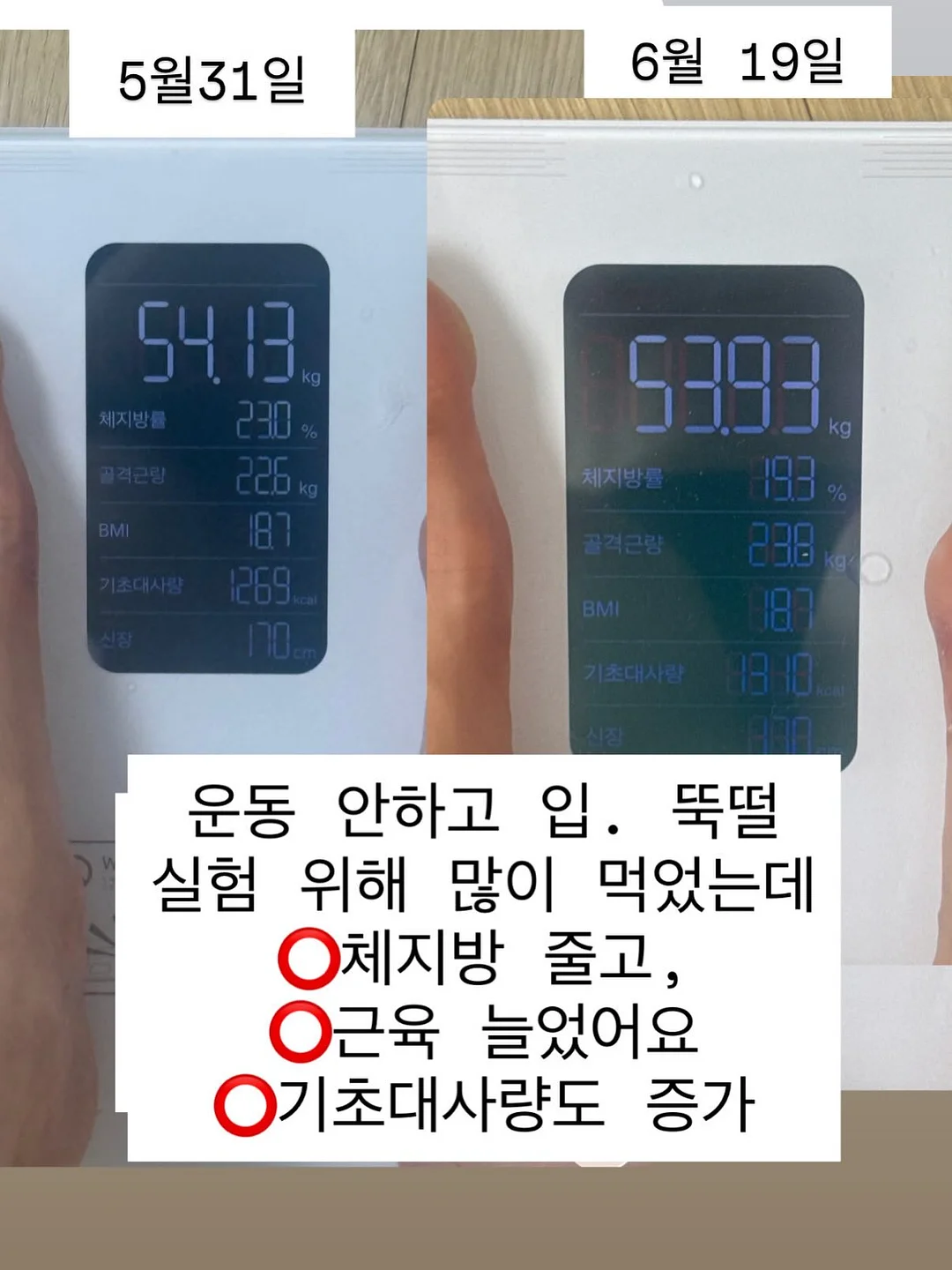 정희우 작가 키치한 작품 7