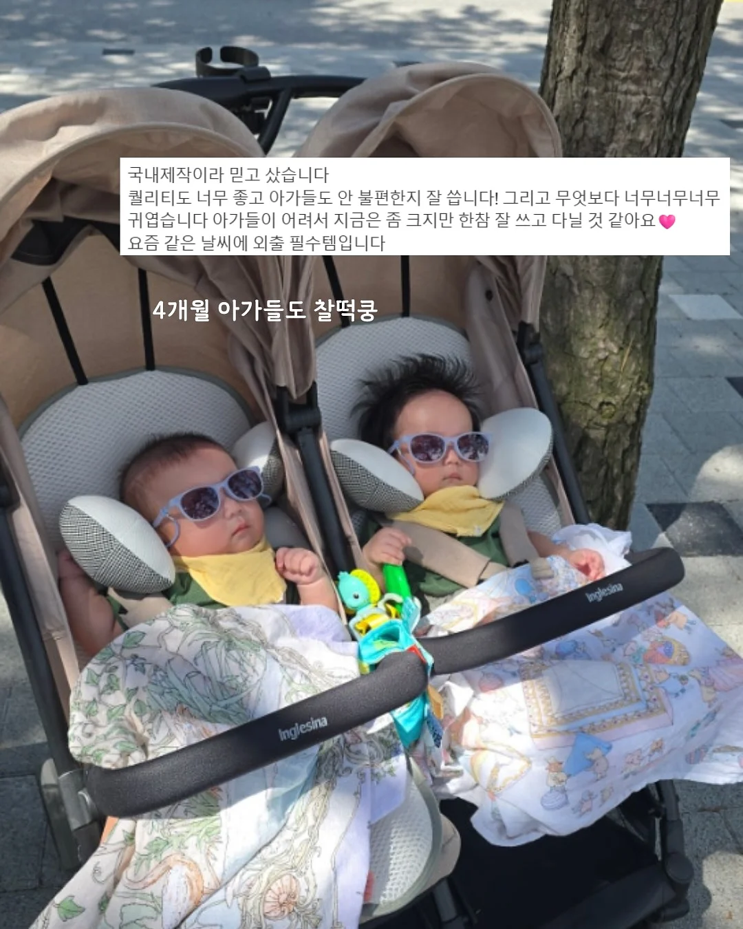 초유 영양제 5