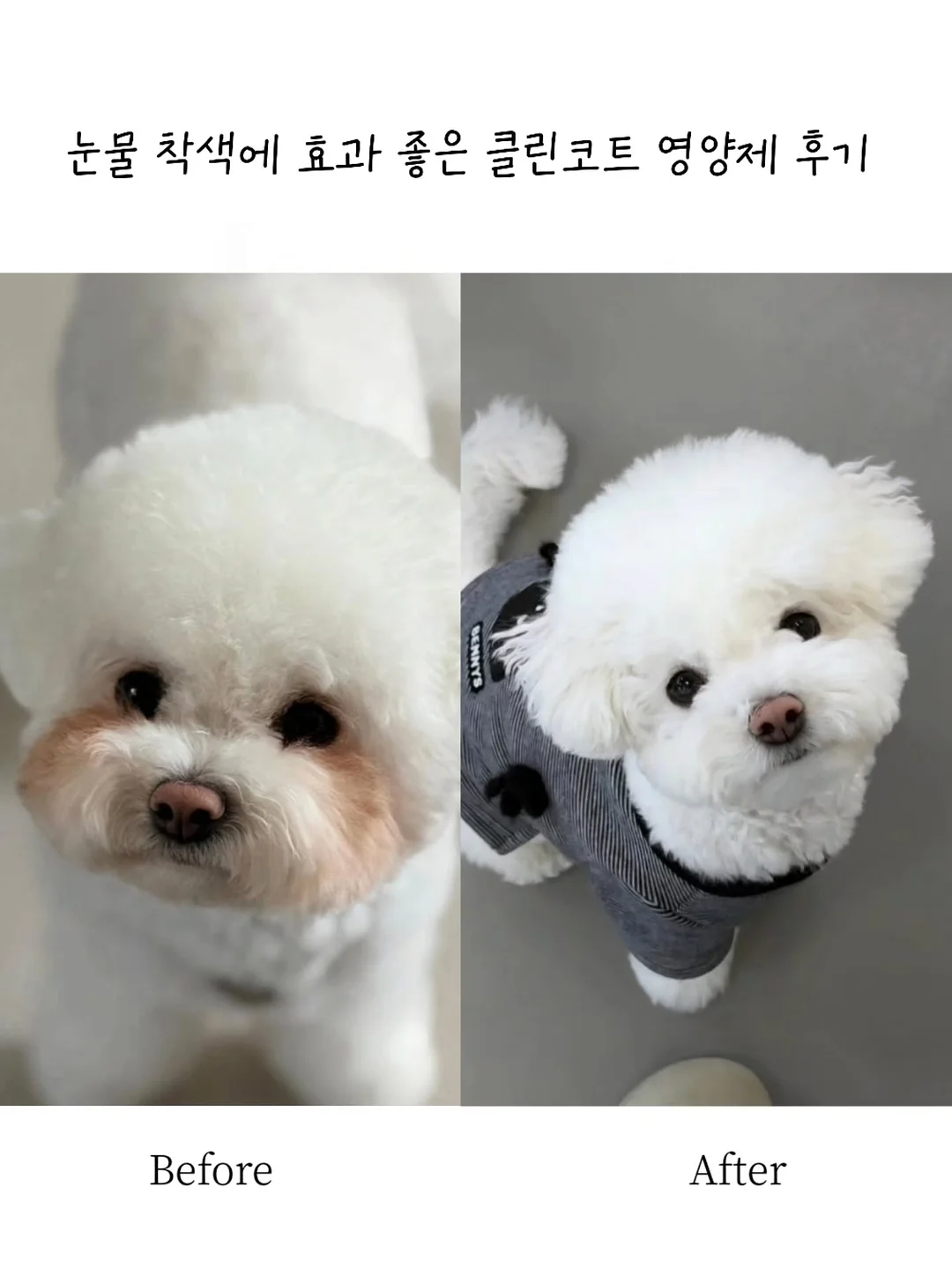 학과바이블 1