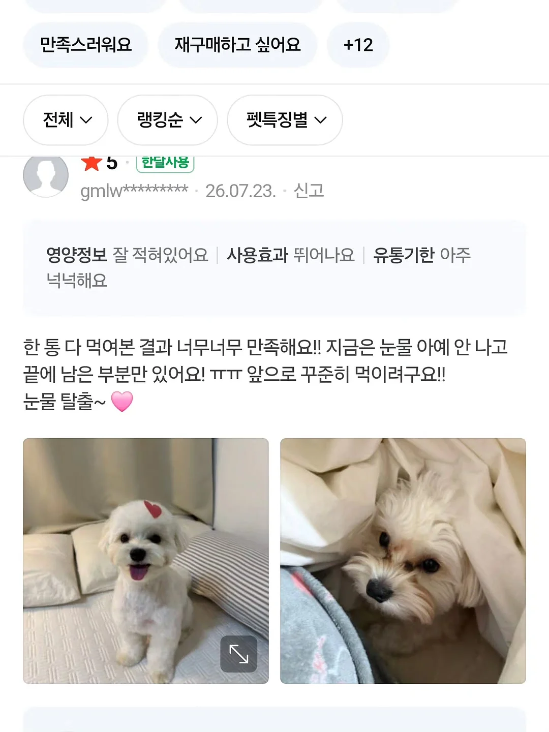학과바이블 11