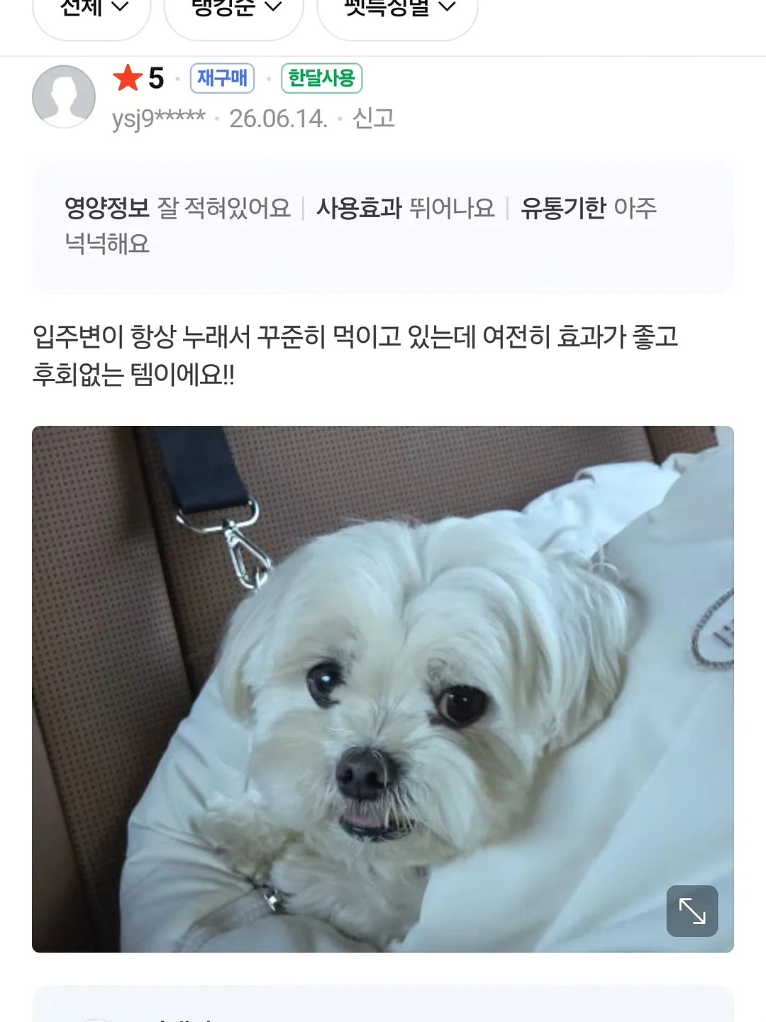 학과바이블 17
