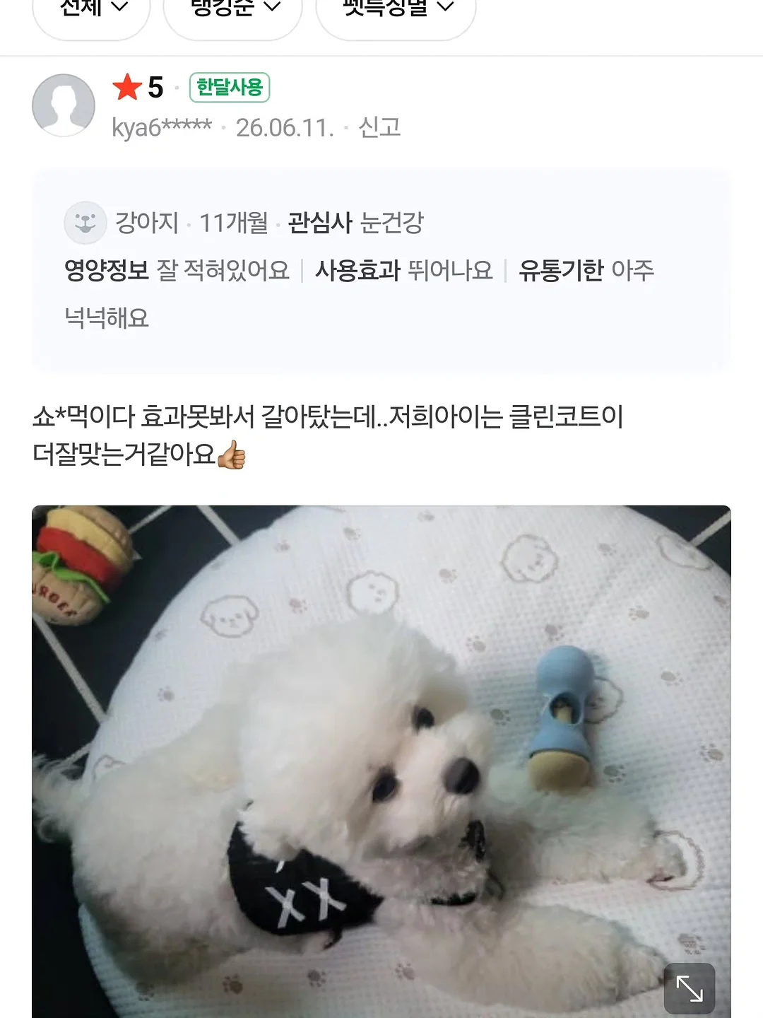 학과바이블 19