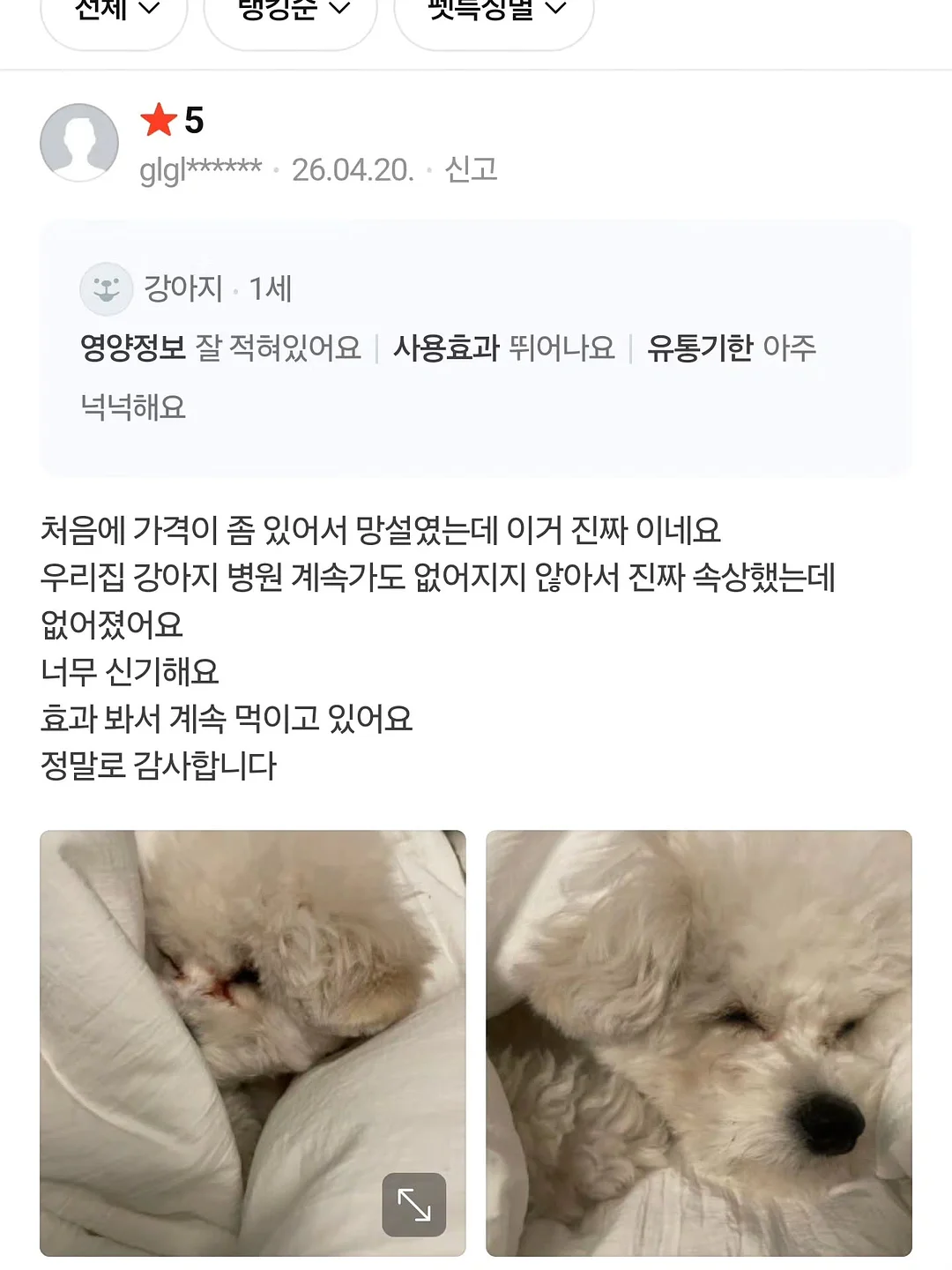 학과바이블 20