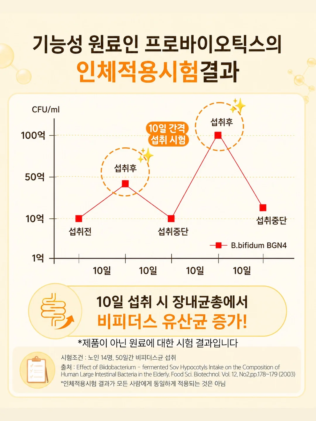 롱스트립 얼음 트레이 12