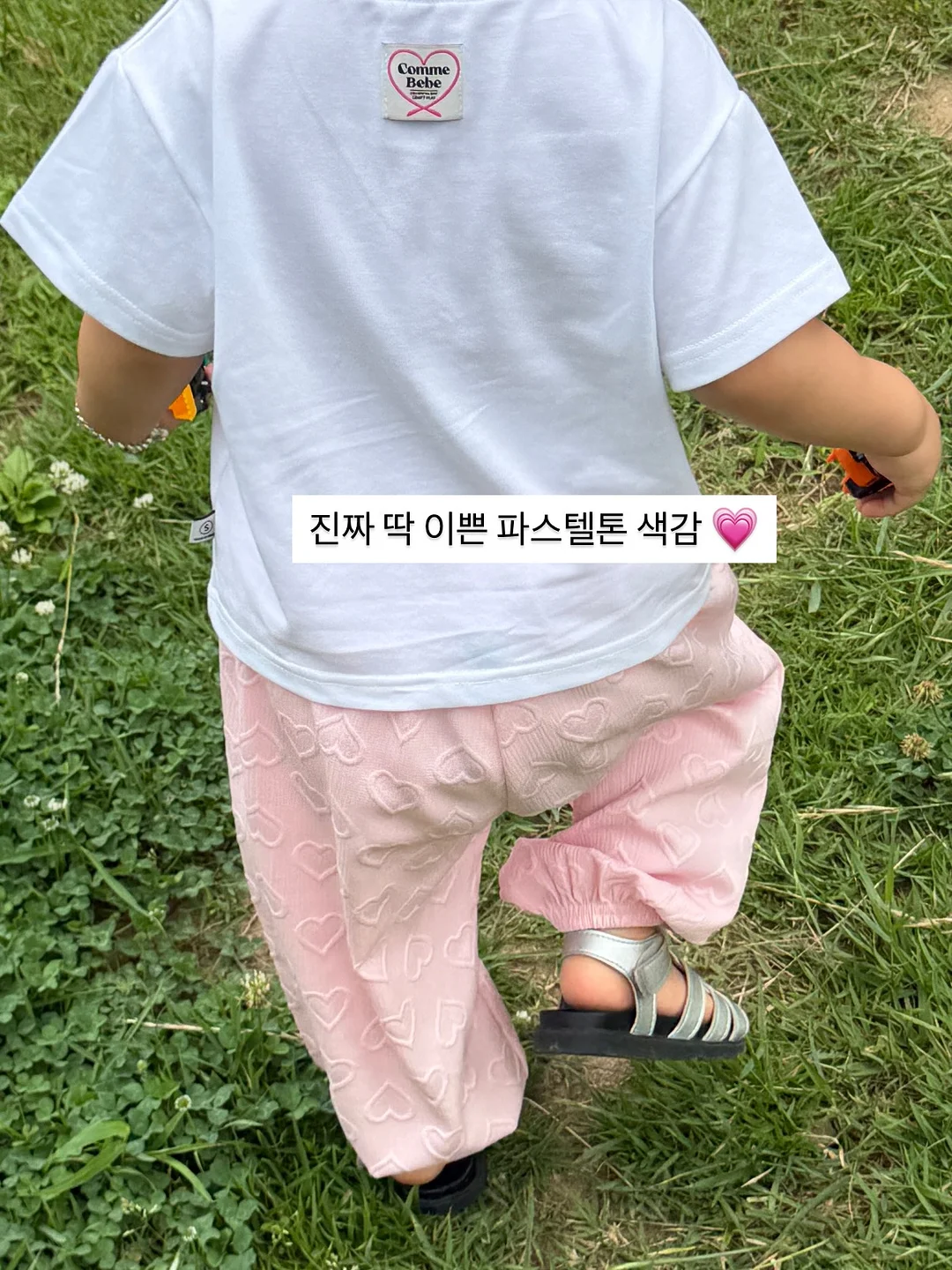 프리미엄 청아정 6