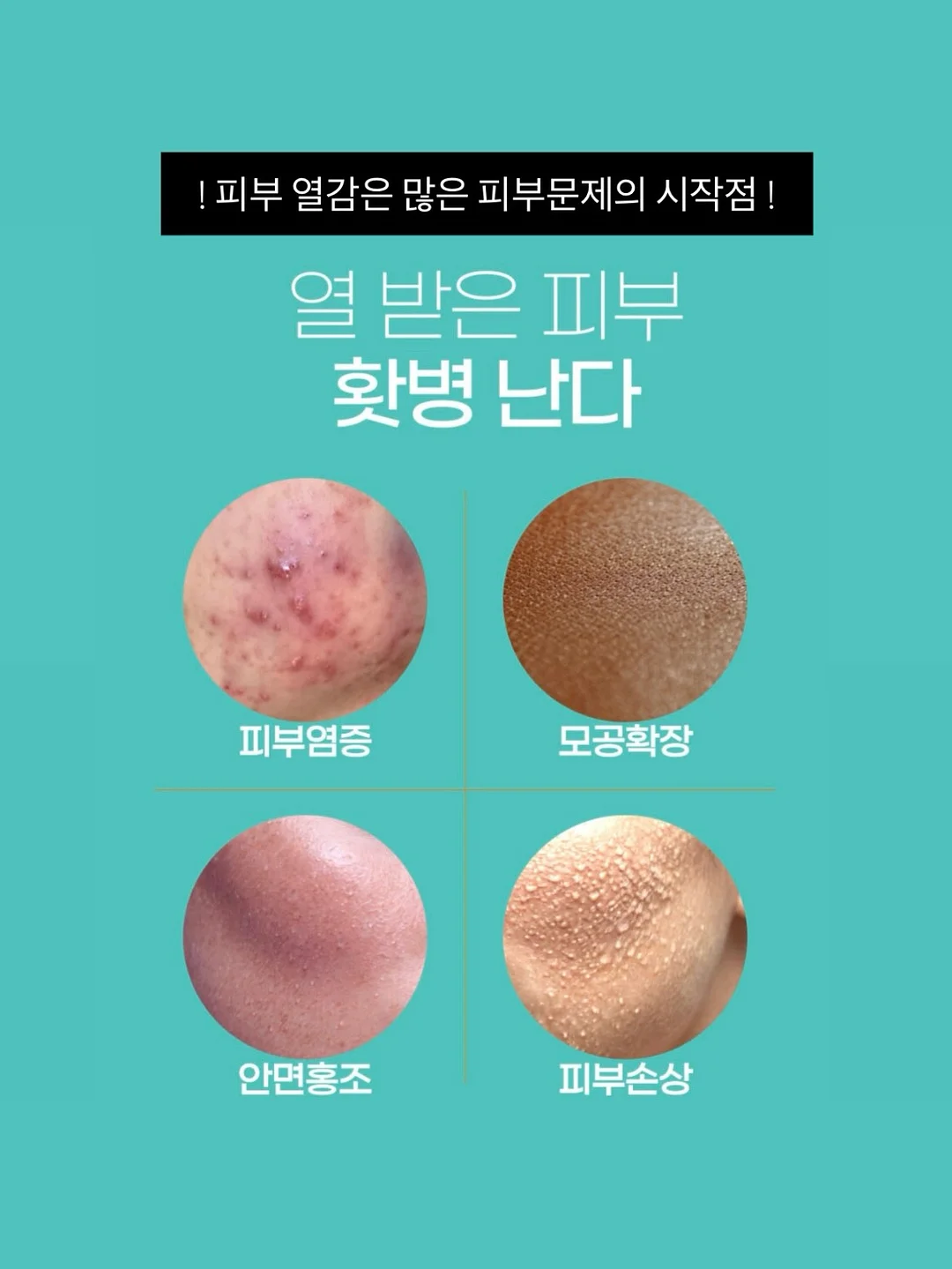 카라포인트 플리츠라인 세트 3