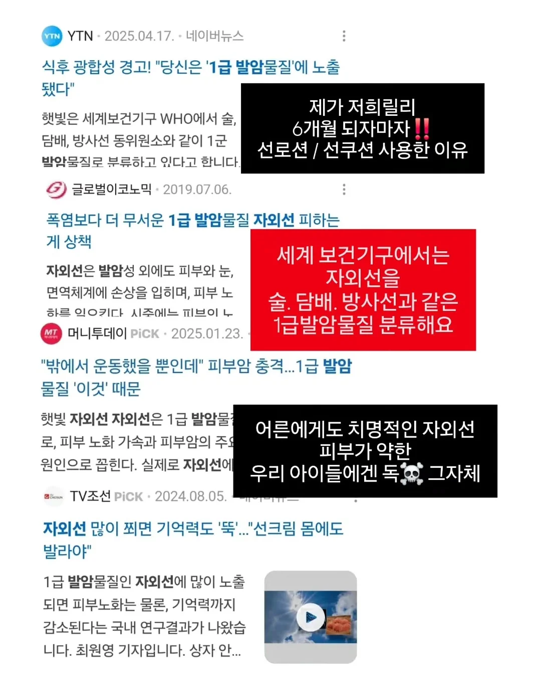 줄리스카 베리앤뜨레드 샴브레이 밥공기, 국공기 2