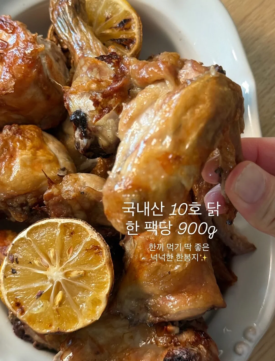 갑오징어 5