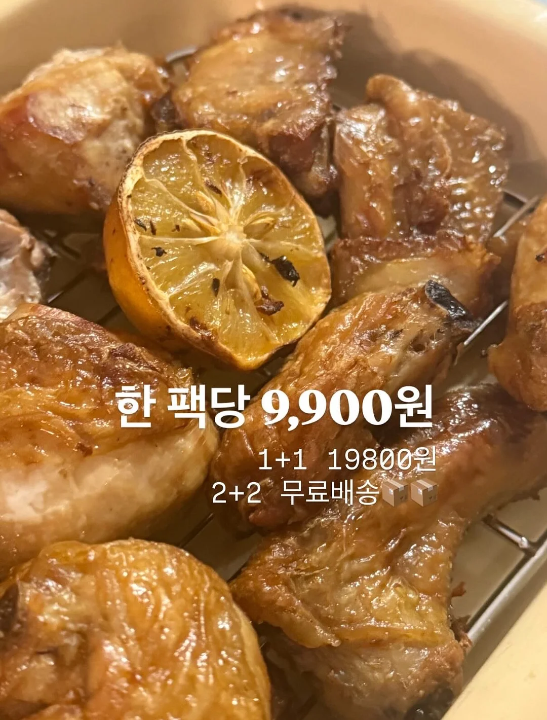 갑오징어 8