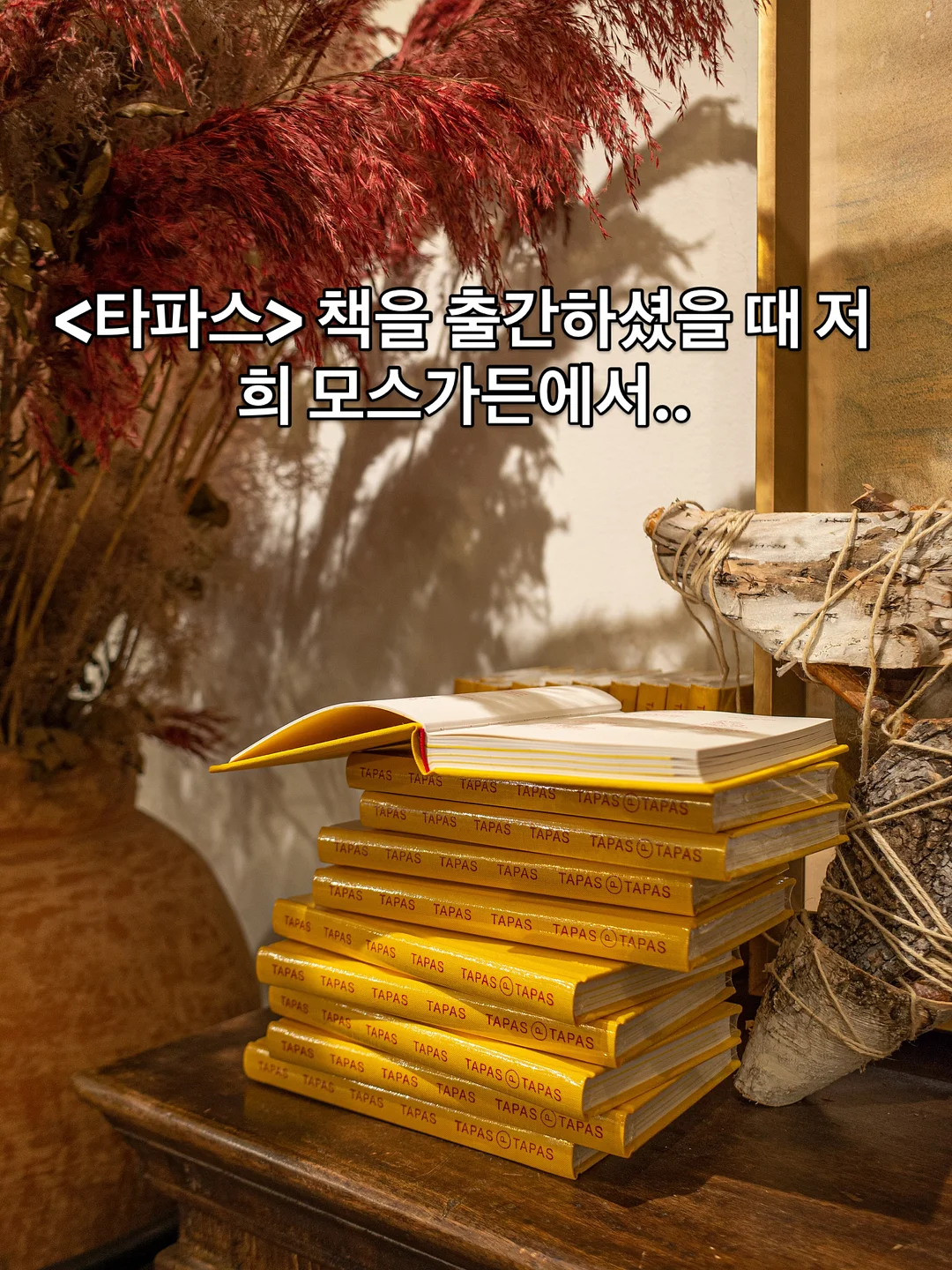 박시티셔츠 2