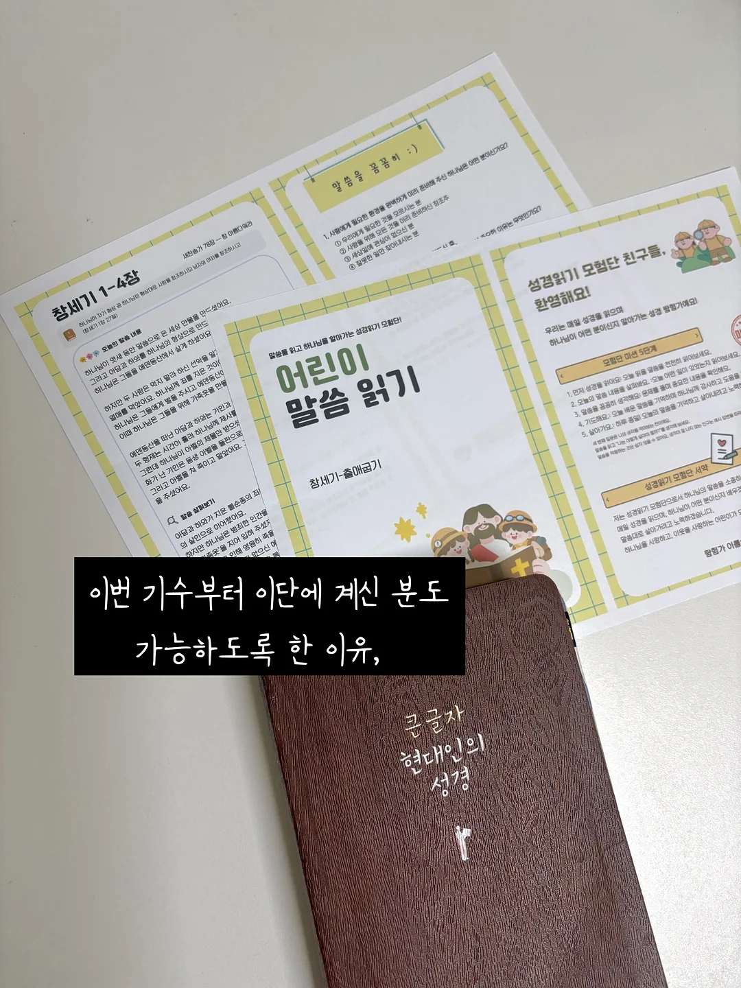 장미 컬렉션