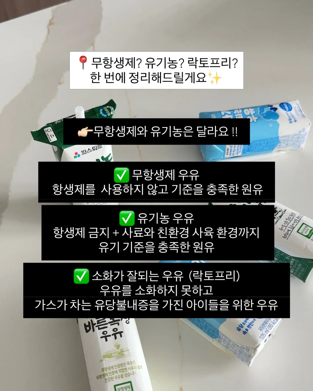 생화 케이크 4