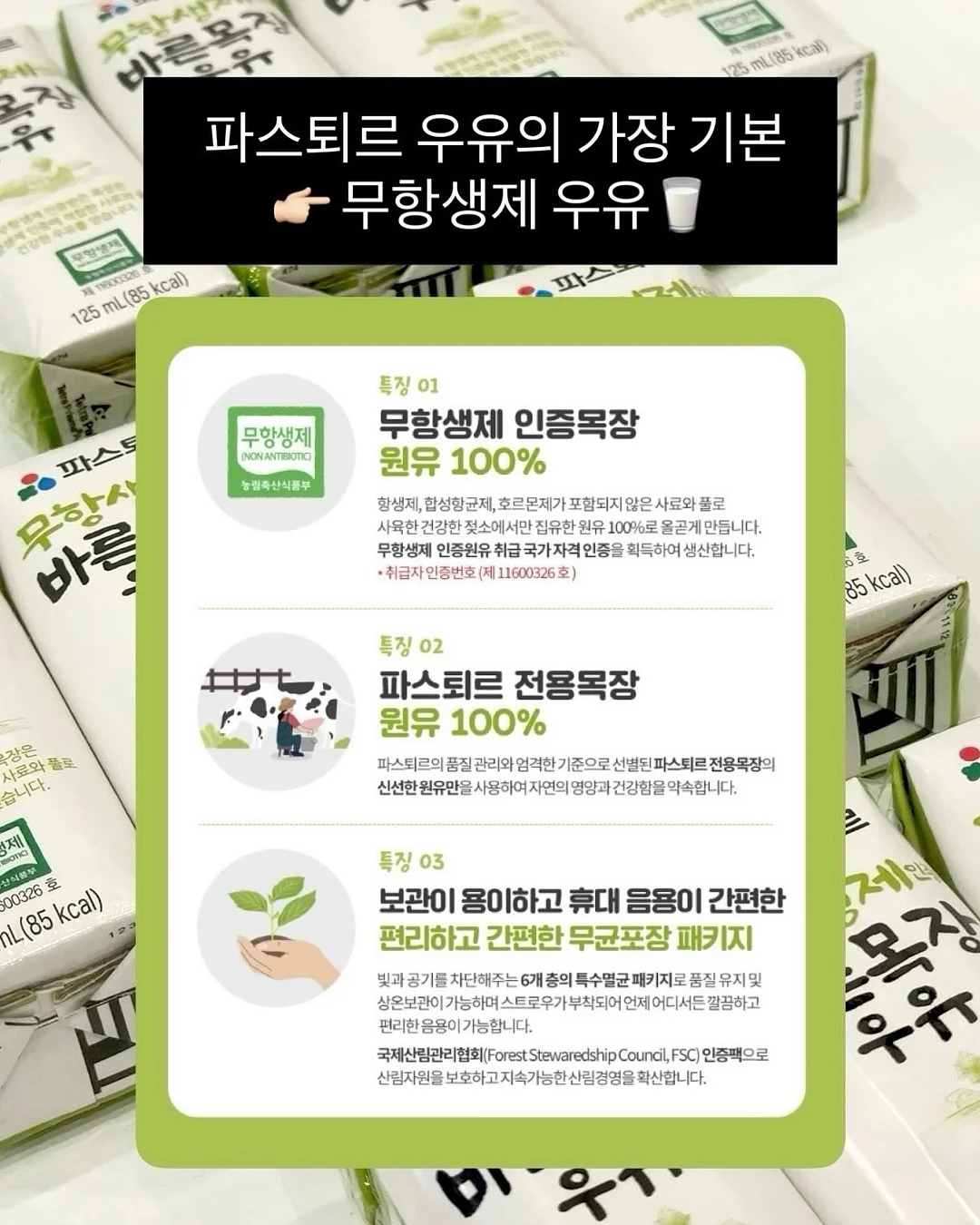생화 케이크 6
