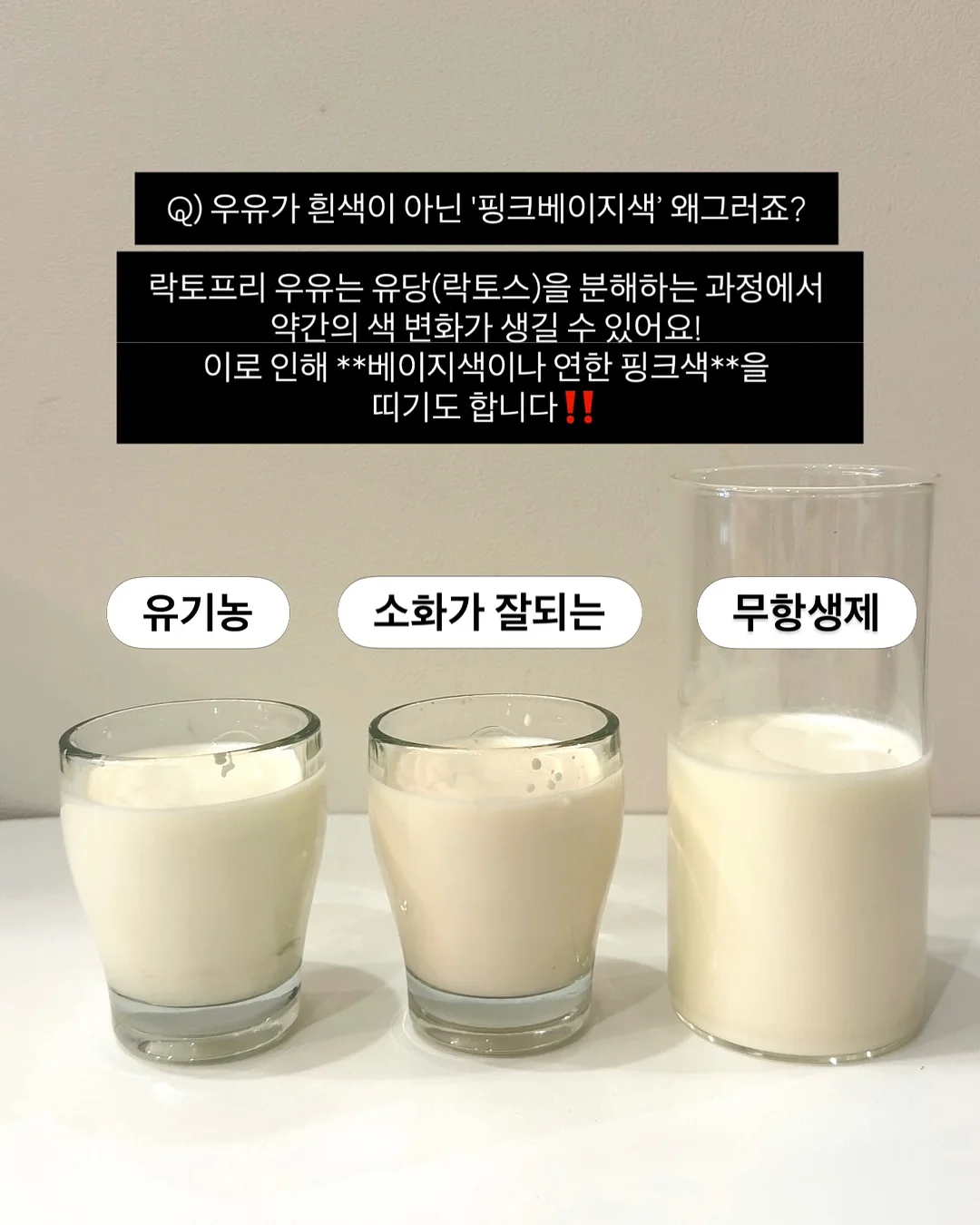 생화 케이크 8
