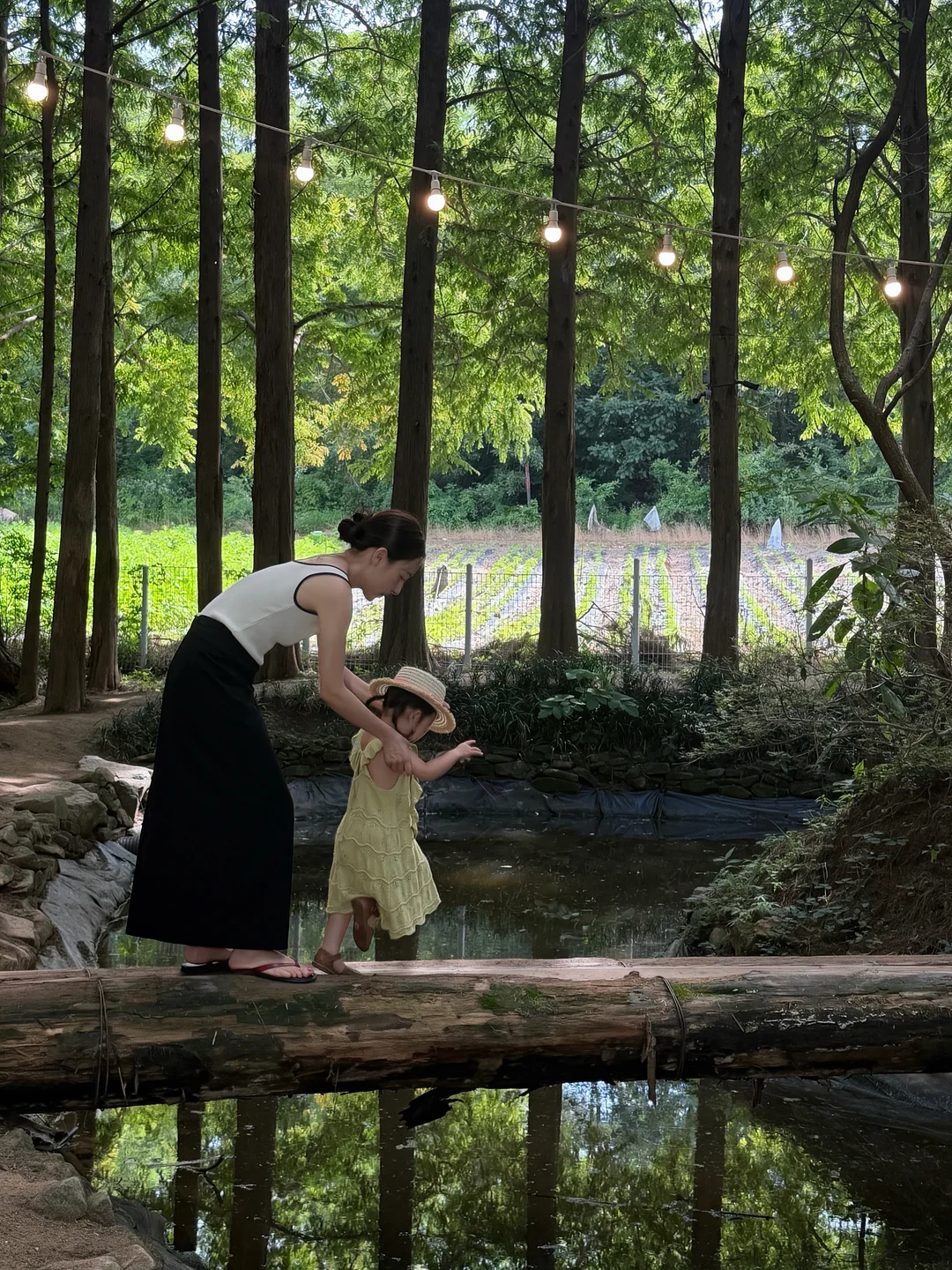 투명 서랍장 1