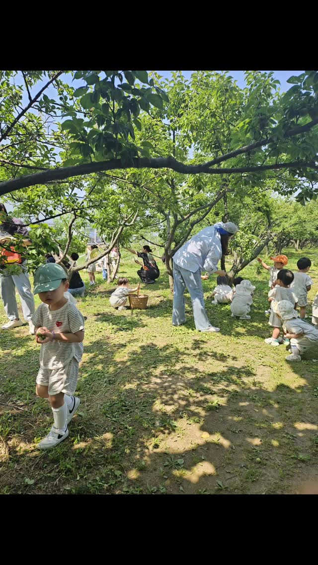 헤이리오 여름 셔츠