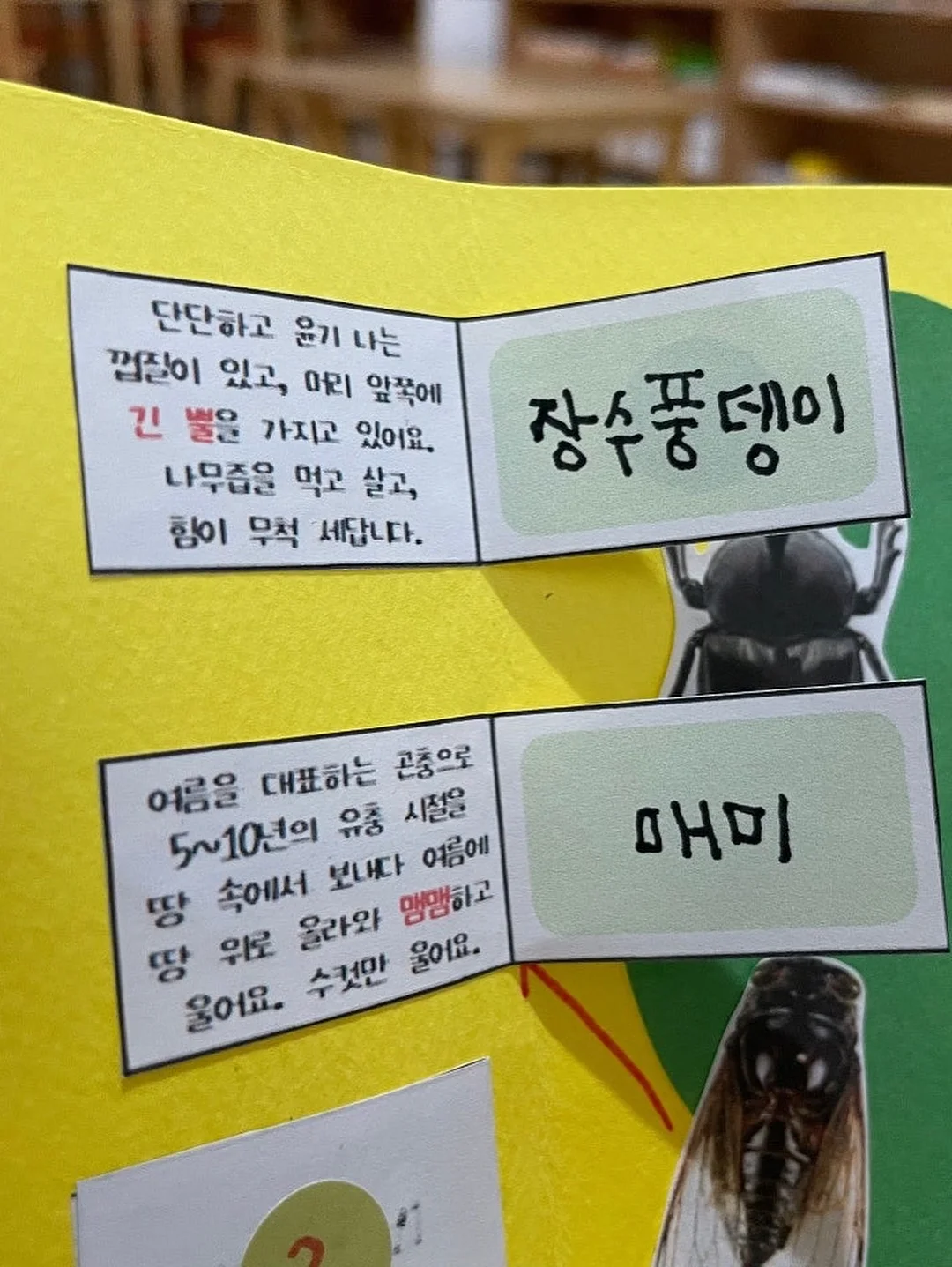 휴대용 비누 시트 12