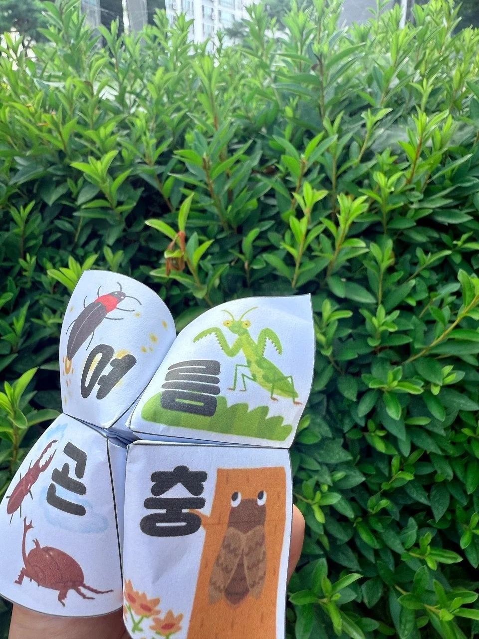 휴대용 비누 시트 8