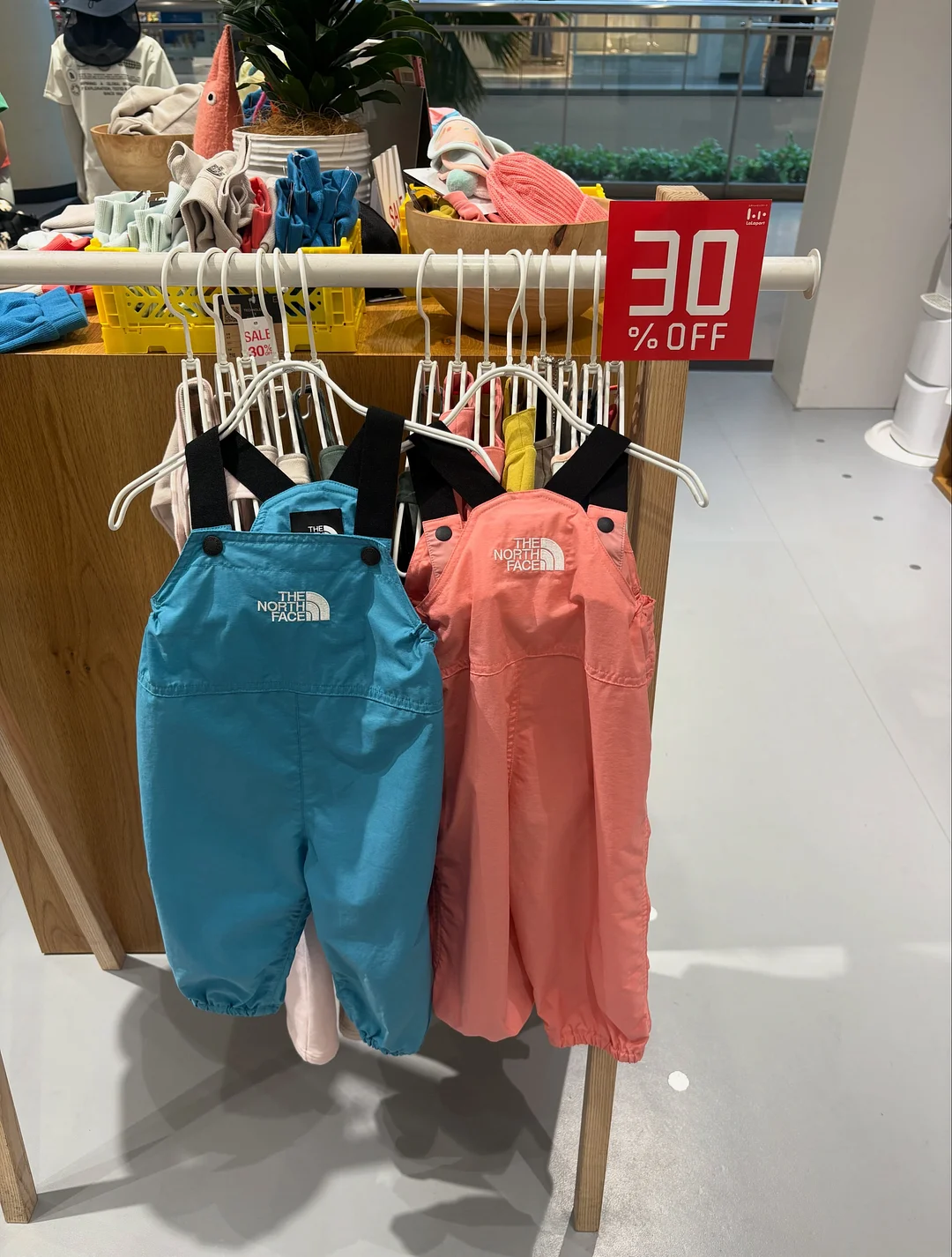 여름 스프레드 1
