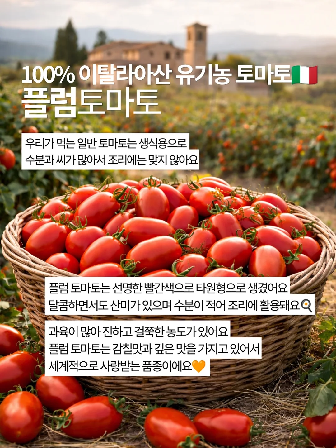 우리 몸 소화기관 자료 7