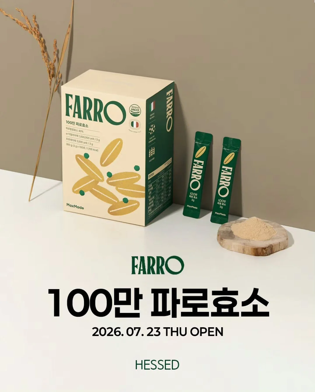 토끼 컨셉 촬영 2