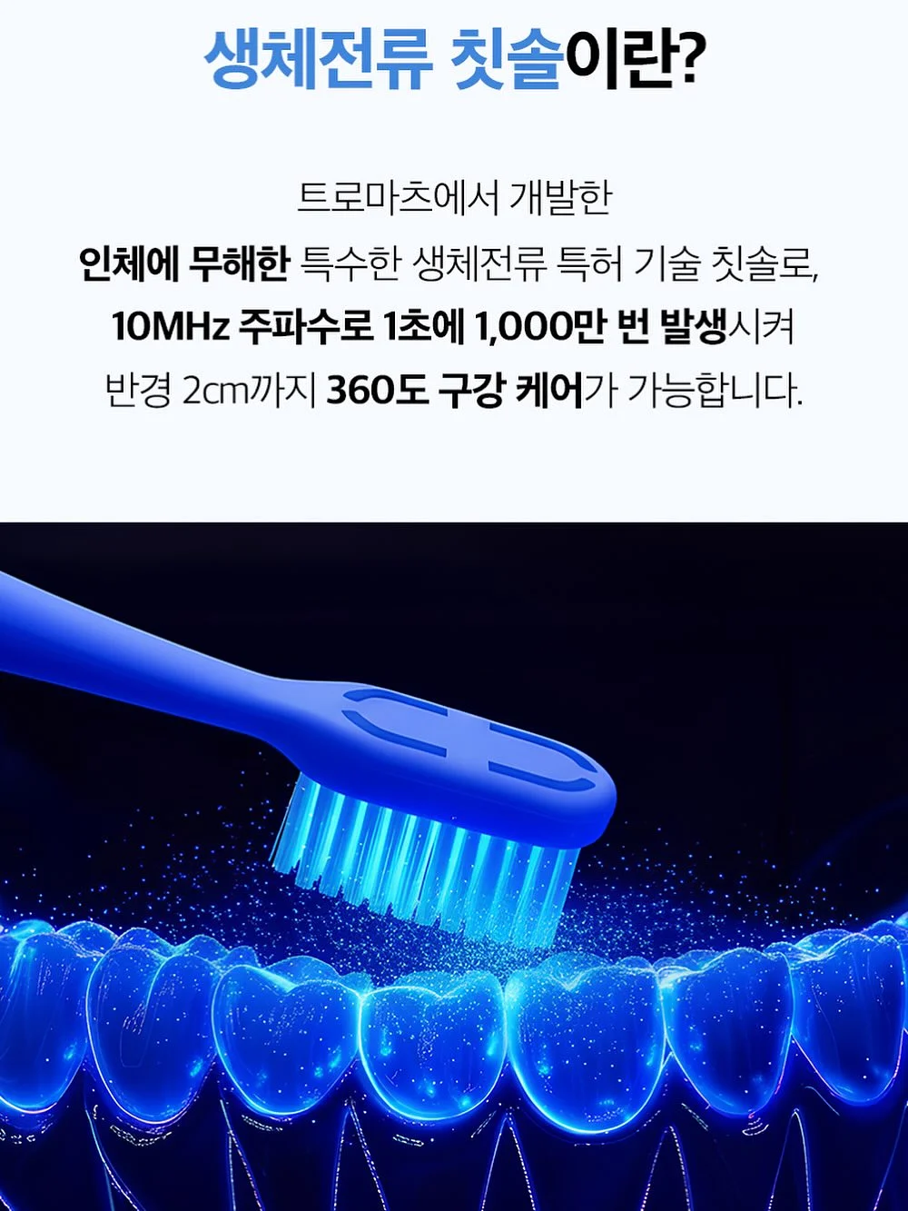 멋진화분 1