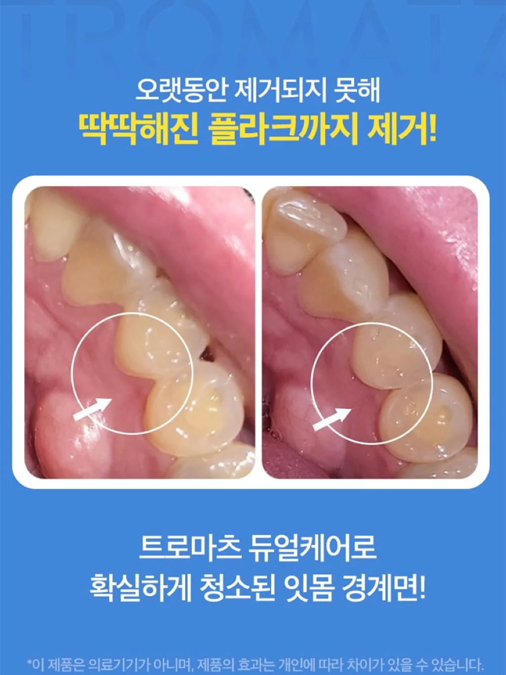 멋진화분 9