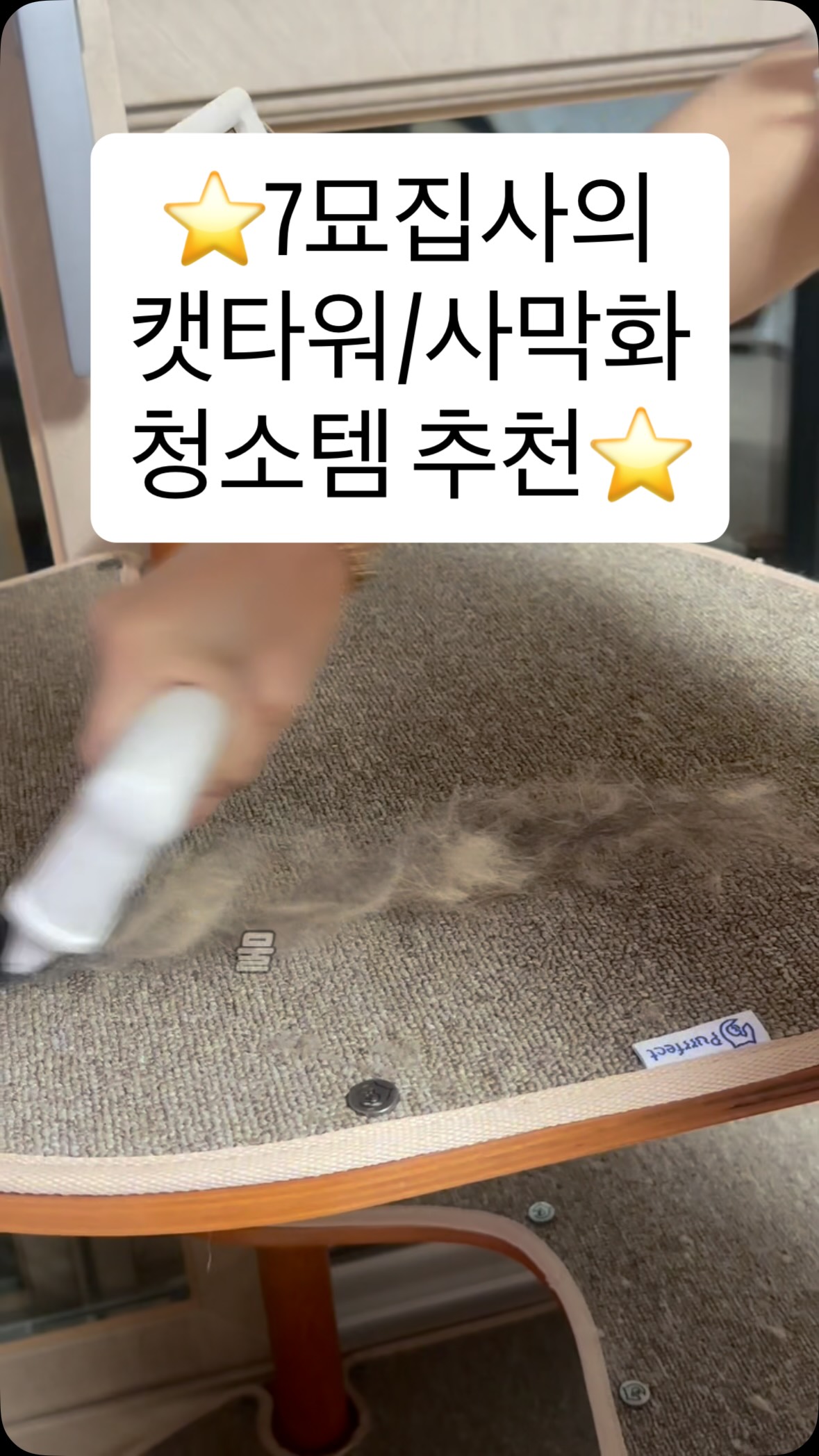 책은핑계고