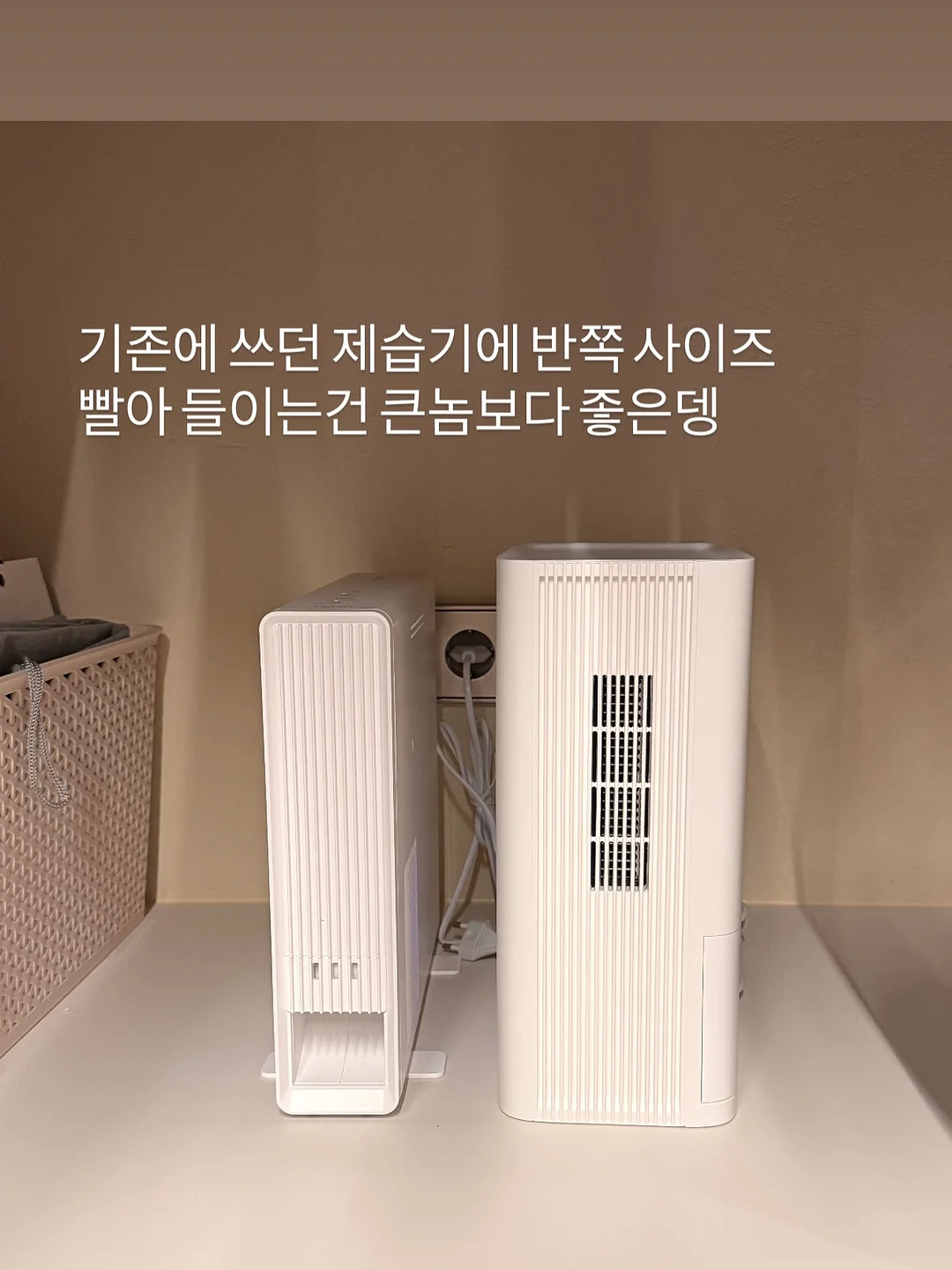 마이키즈 프로폴리스 스프레이, 홍삼젤리 3