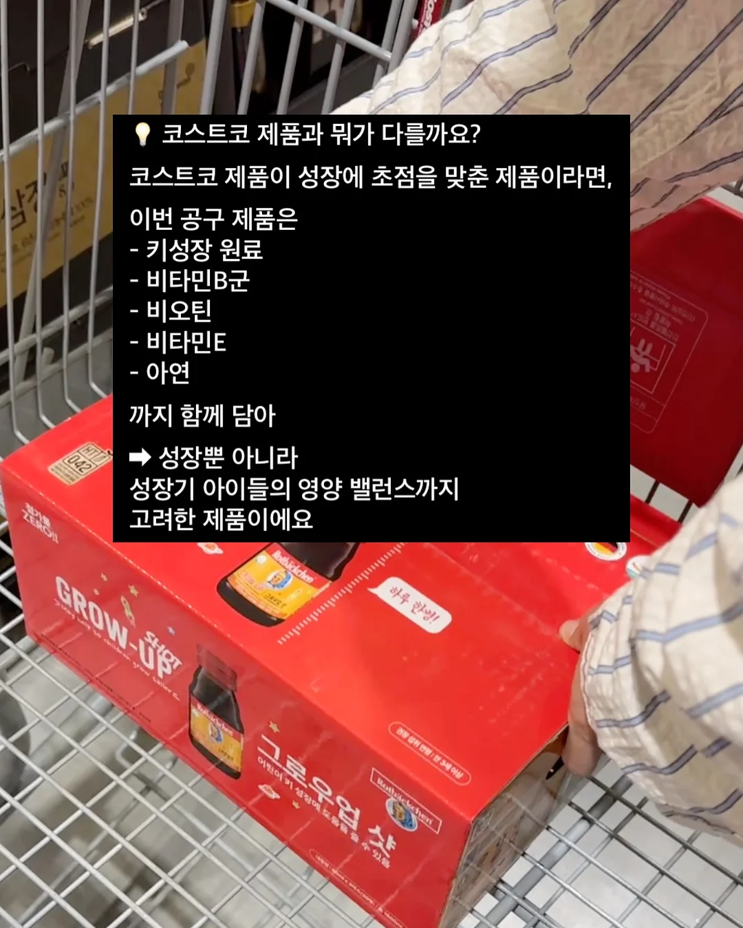 더잭슨스 주트백 10