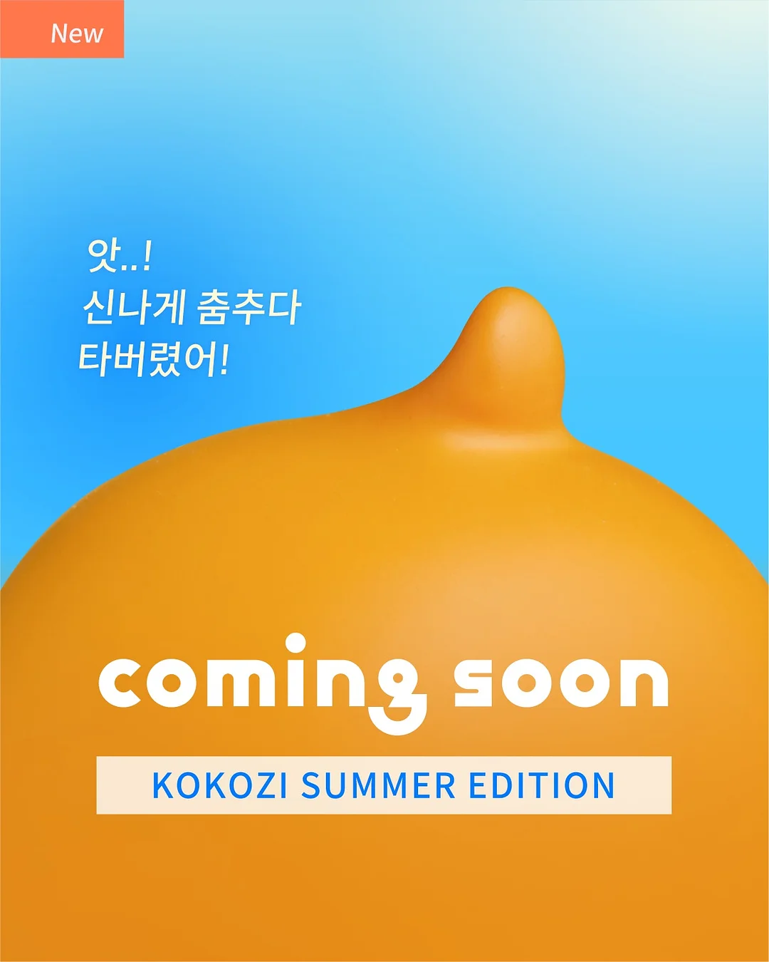 후지필름 카메라 대여 1