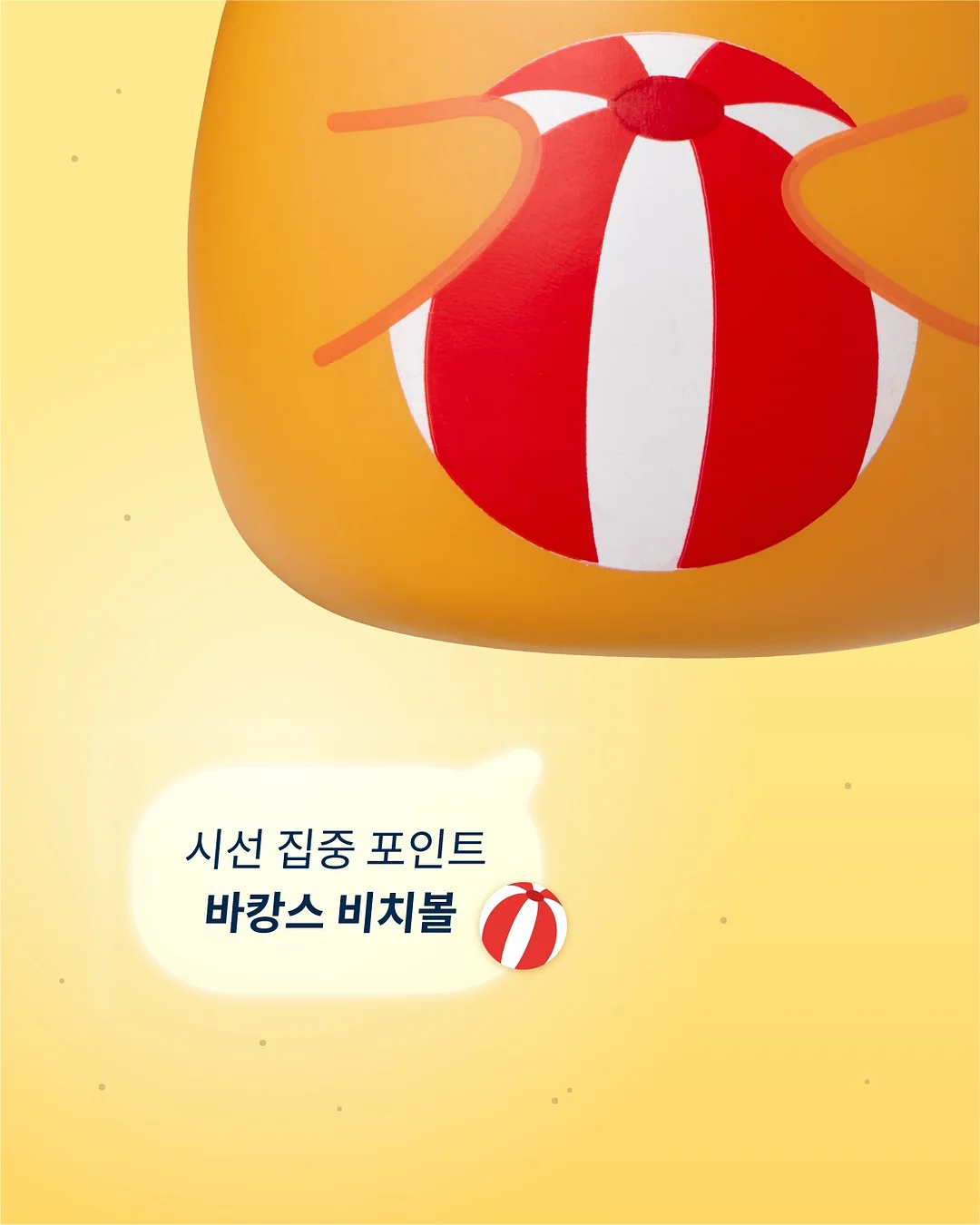후지필름 카메라 대여 3