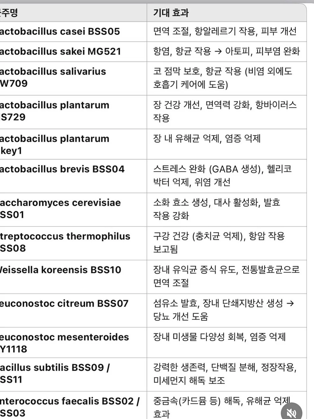 단아틀리에 앞치마 13