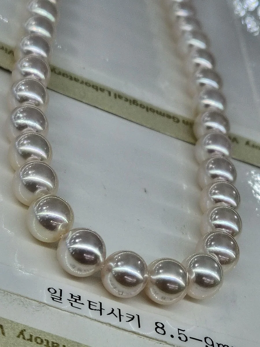 비비&숑숑 반려견펜션 4