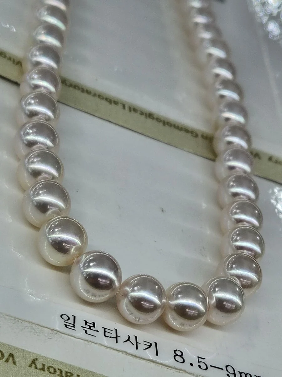 비비&숑숑 반려견펜션 8